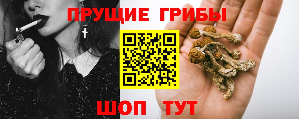 Камень-на-Оби  Галлюциногенные грибы Magic Shrooms  Галлюциногенные грибы мицелий  Вход с VPN 
